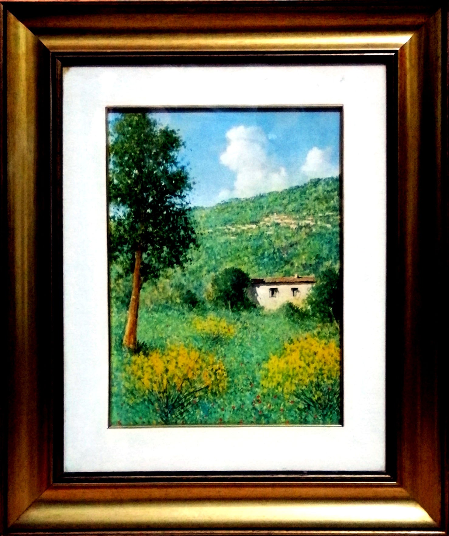 G. Golia - Paesaggio