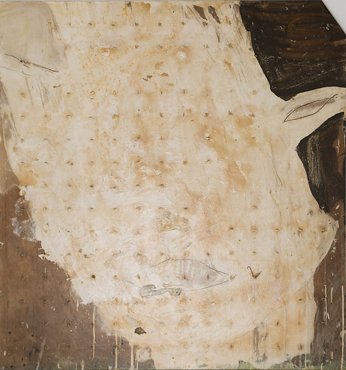 Ilario Offredi - Tom