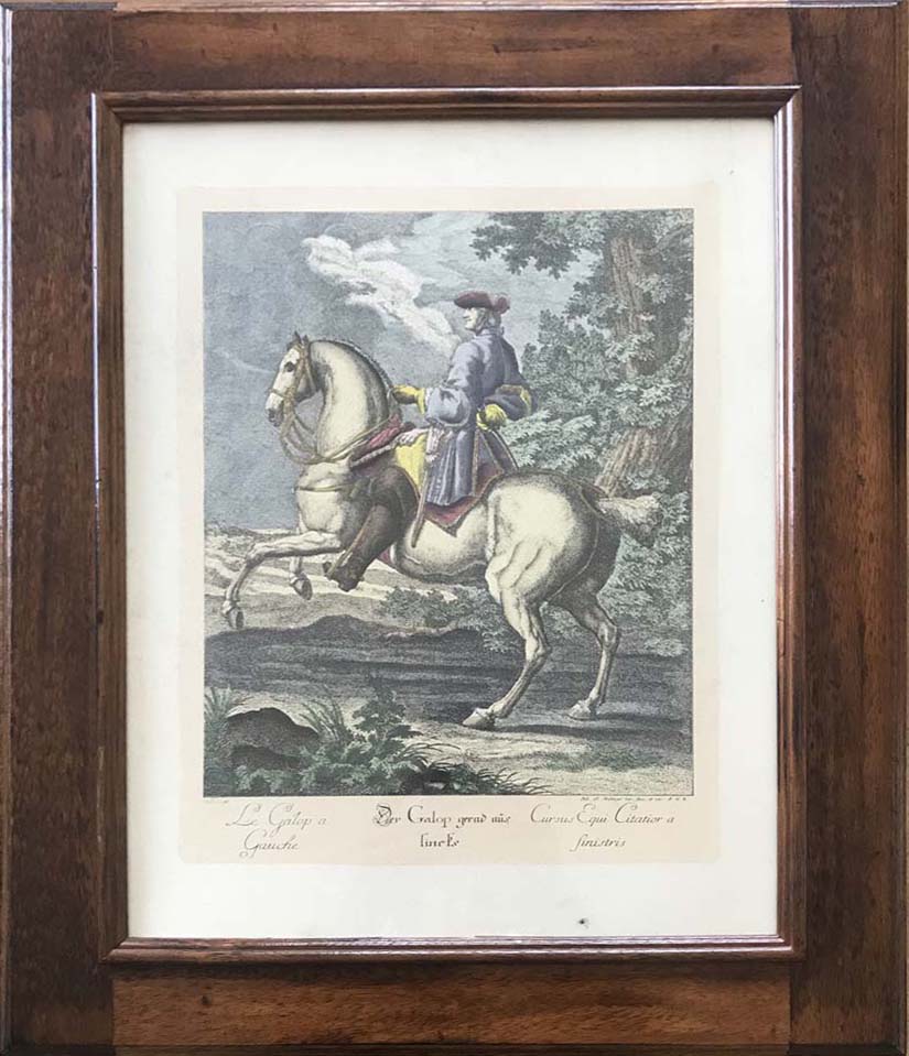 From Johann Elias Ridinger - Riding School