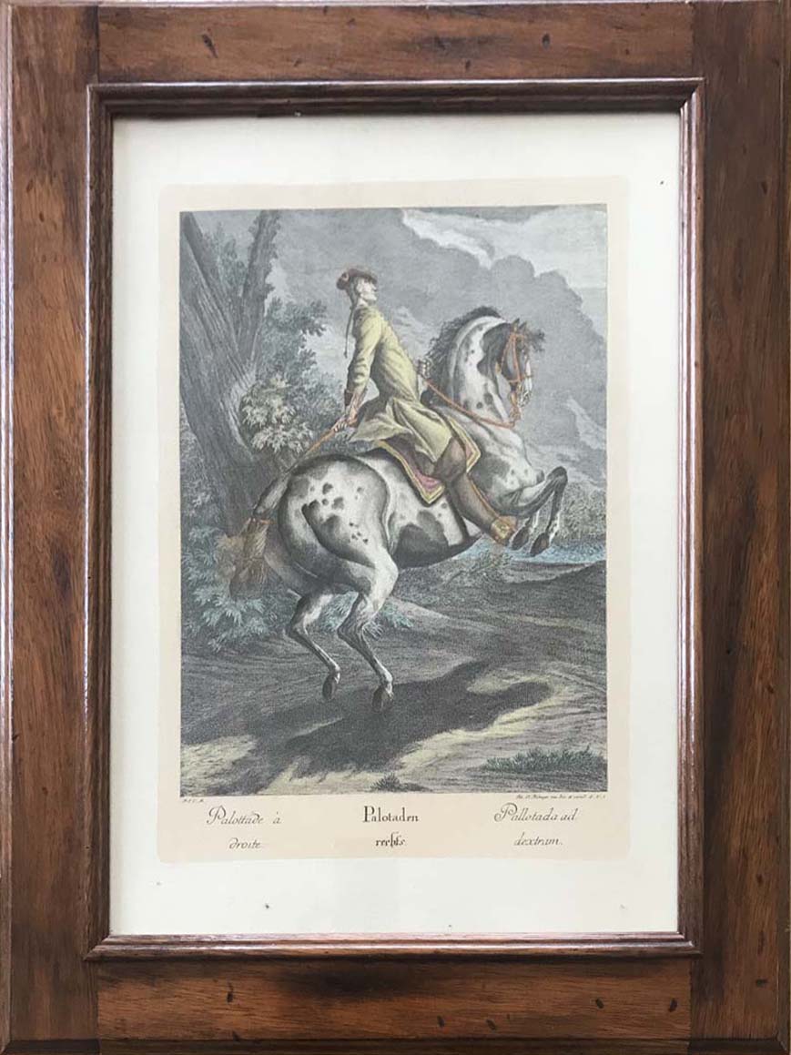 From Johan Elias Ridinger - Riding School