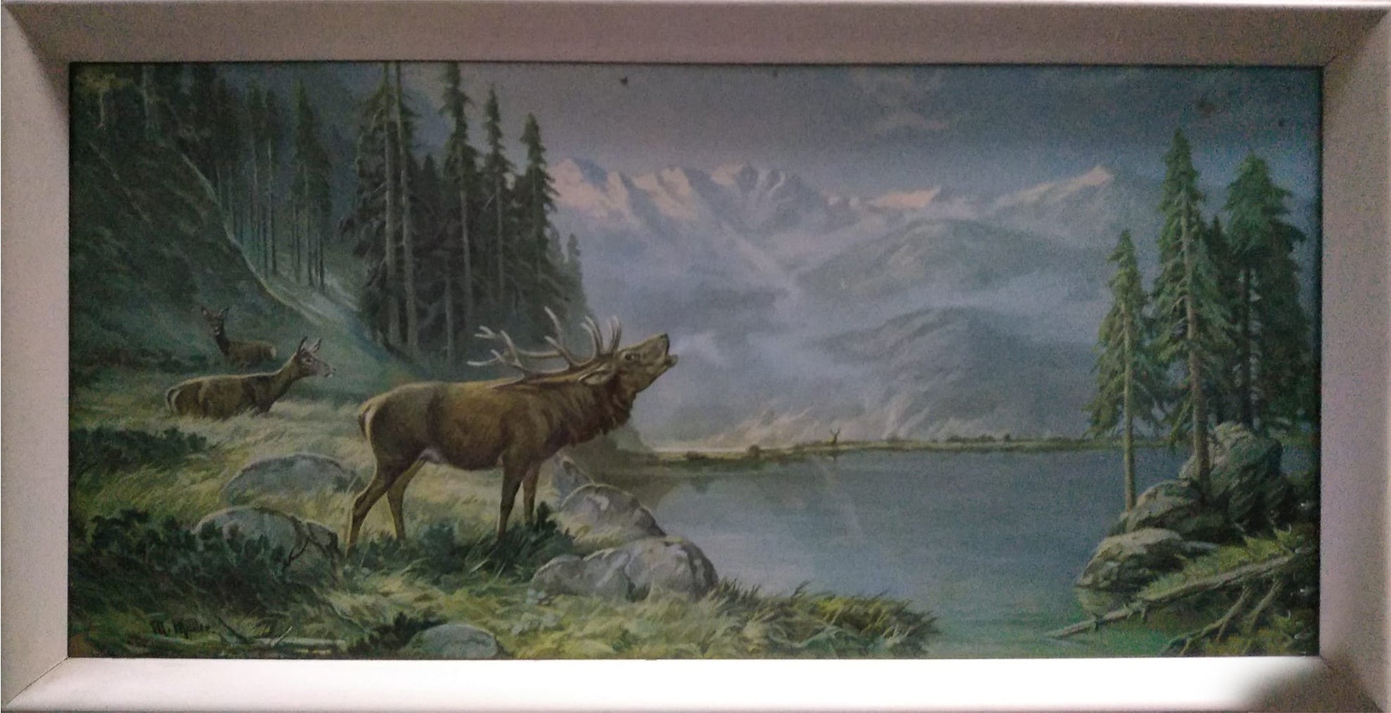 Moritz Müller - Rutting morning