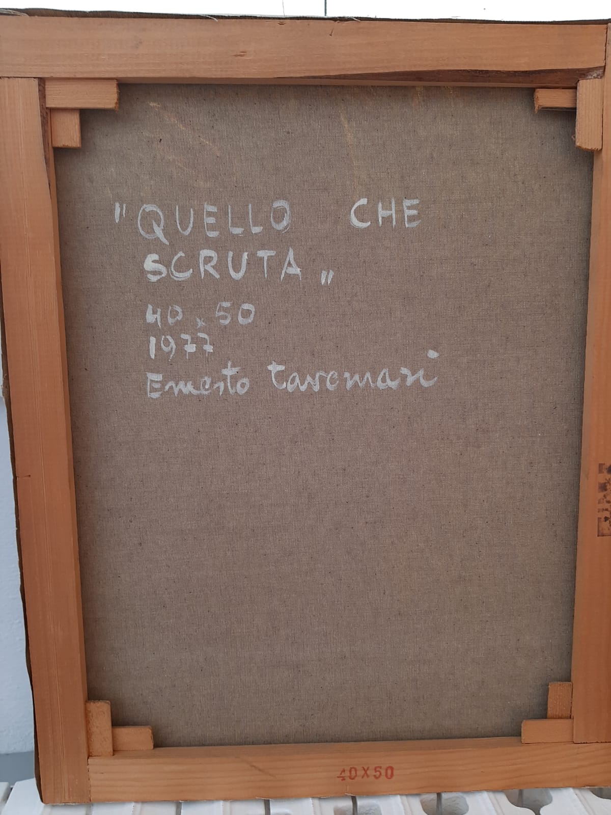 Ernesto Tavernari - Quello che scruta