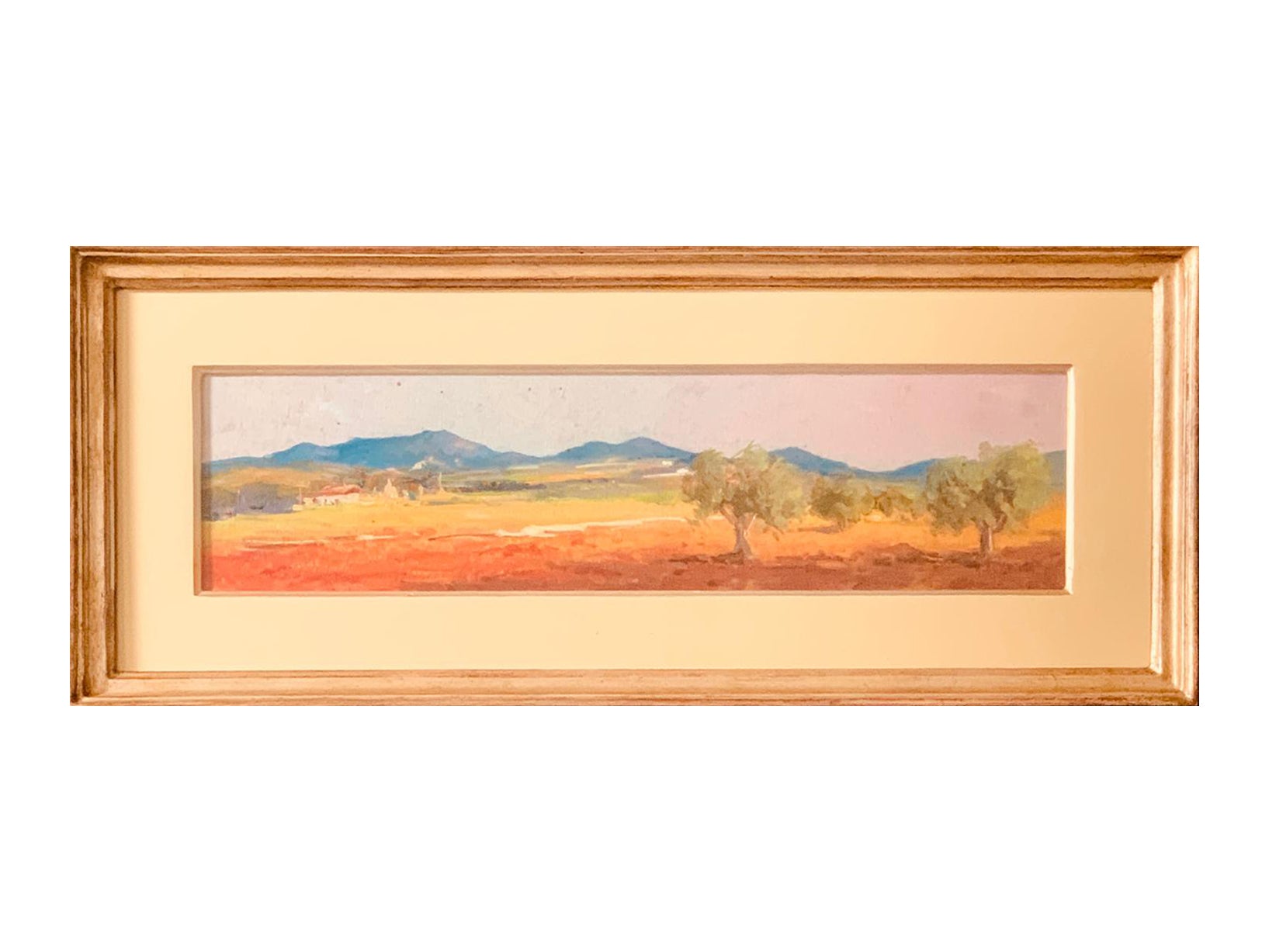 Ugo Donati - Castagneto Carducci, colori di primavera