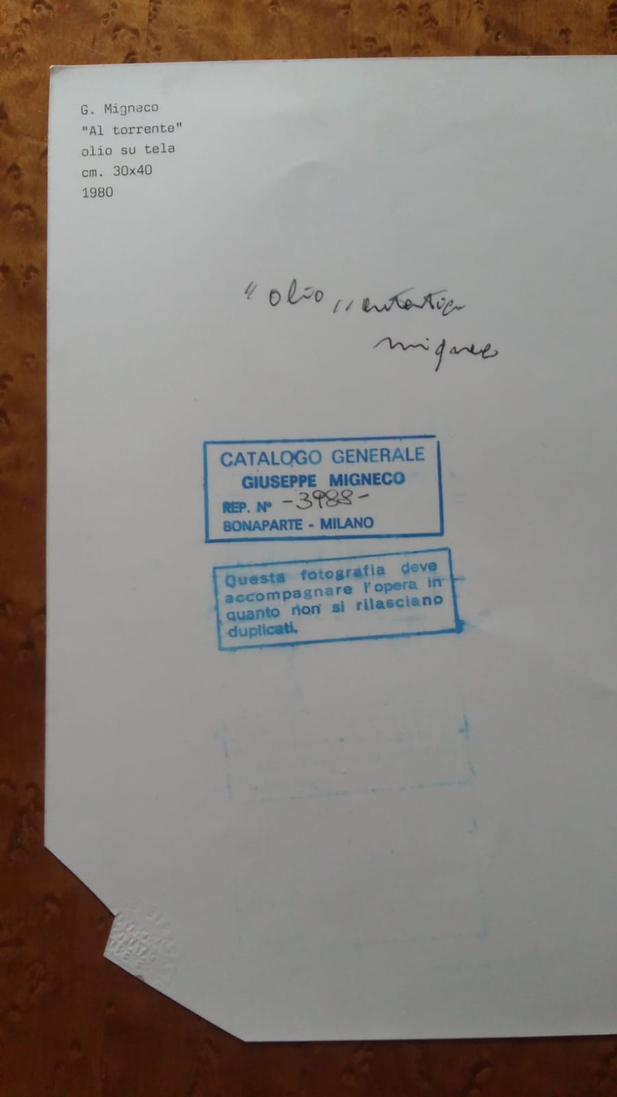 Giuseppe Migneco - En el Torrente