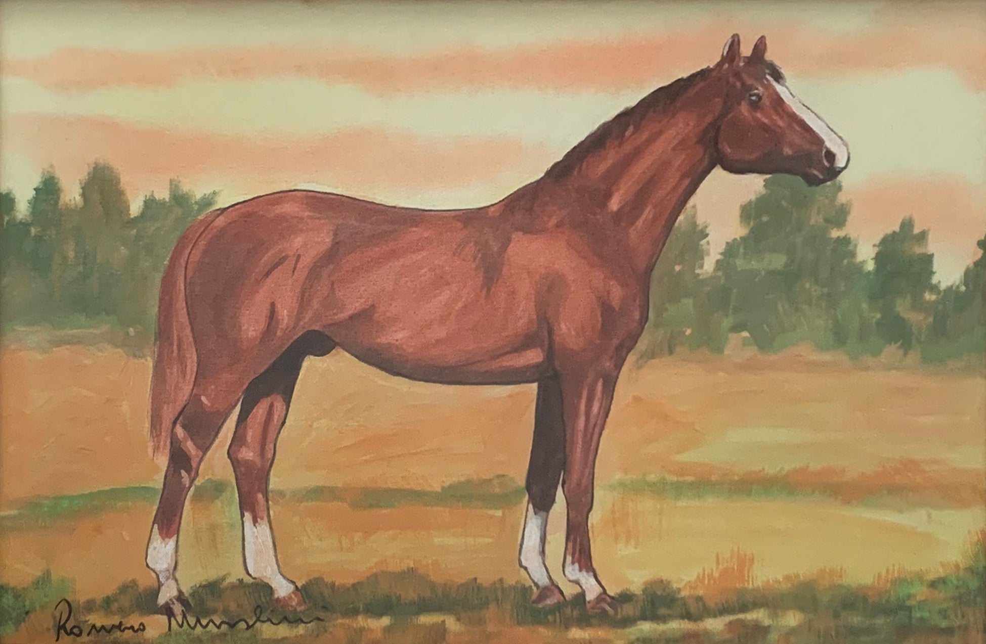 Romano Mussolini - Il cavallo a riposo