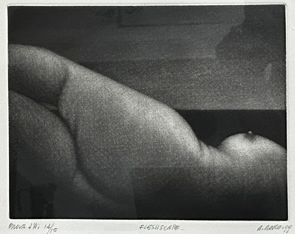 Alberto Rocco - Fleshcape