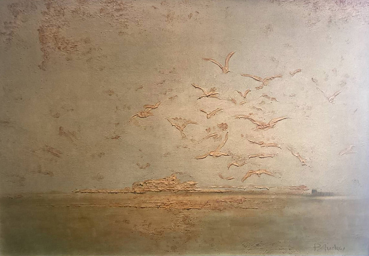 Autore Sconosciuto - Gabbiani