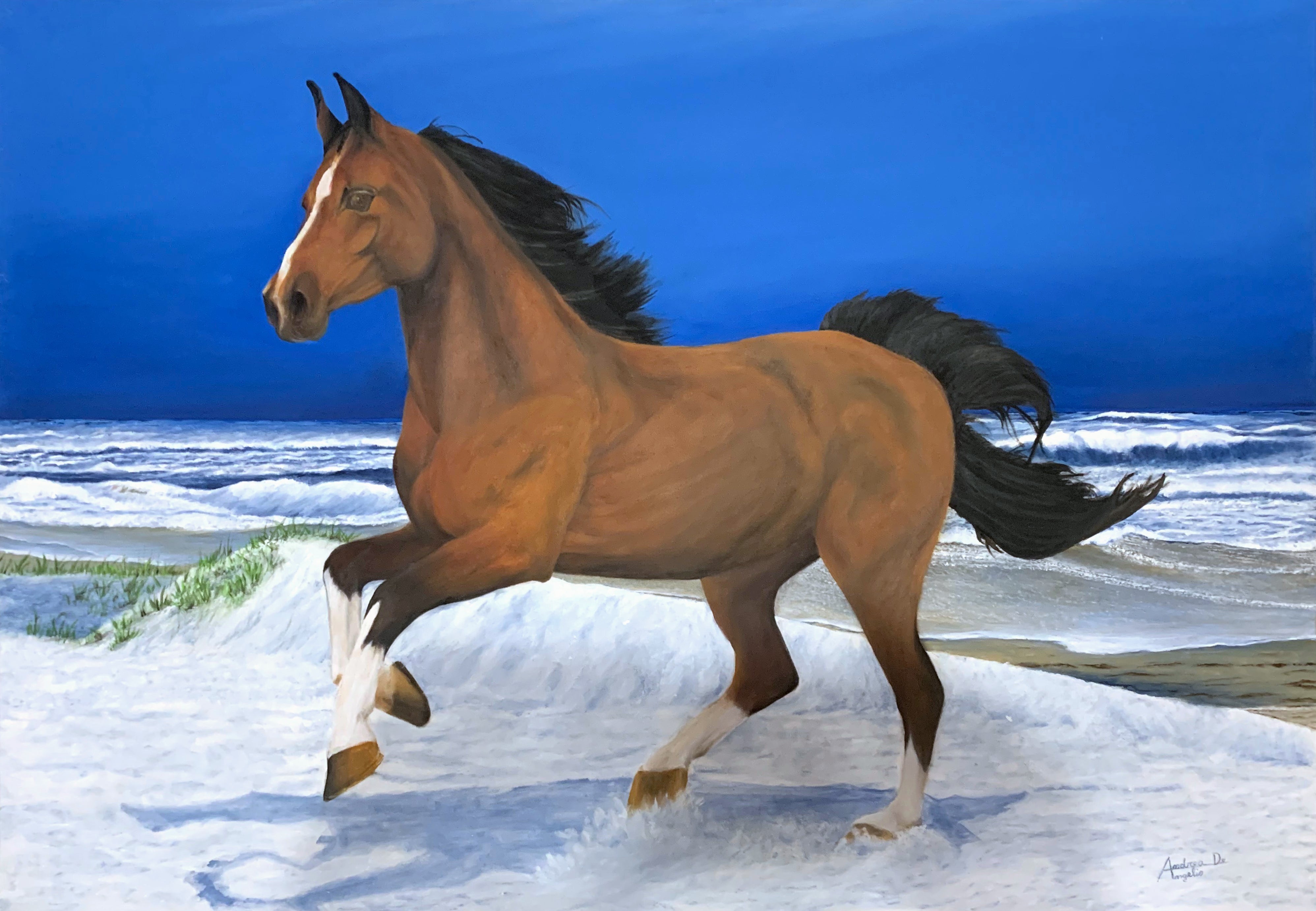 Andrea De Angelis - Cavallo