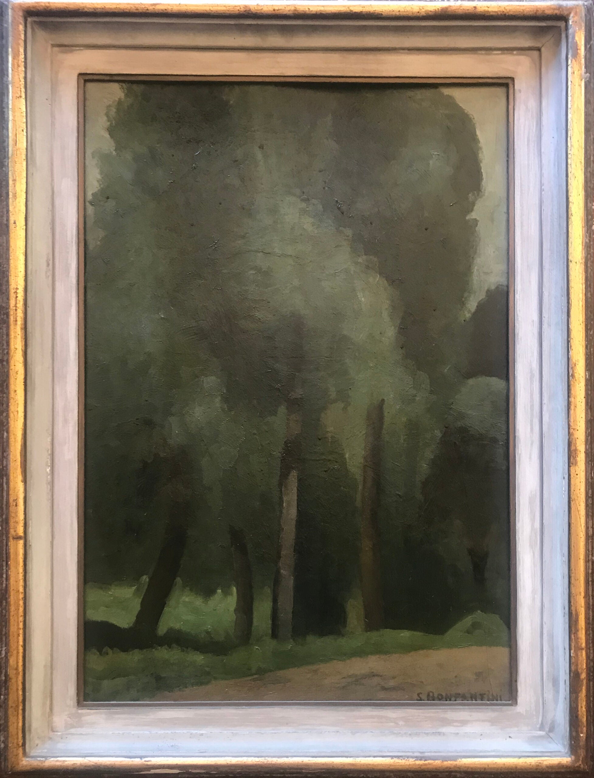 Sergio Bonfantini - Piante
