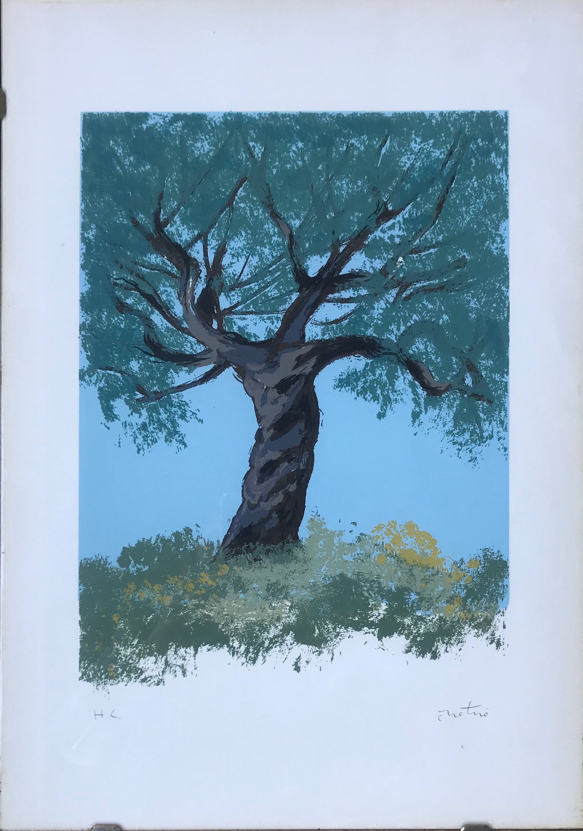 Enotrio - Árbol de la Paz