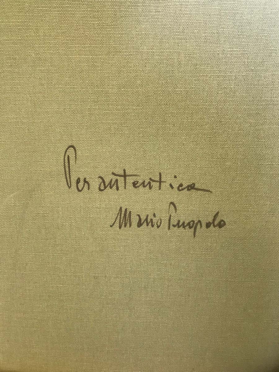 Mario Puopolo - Untitled