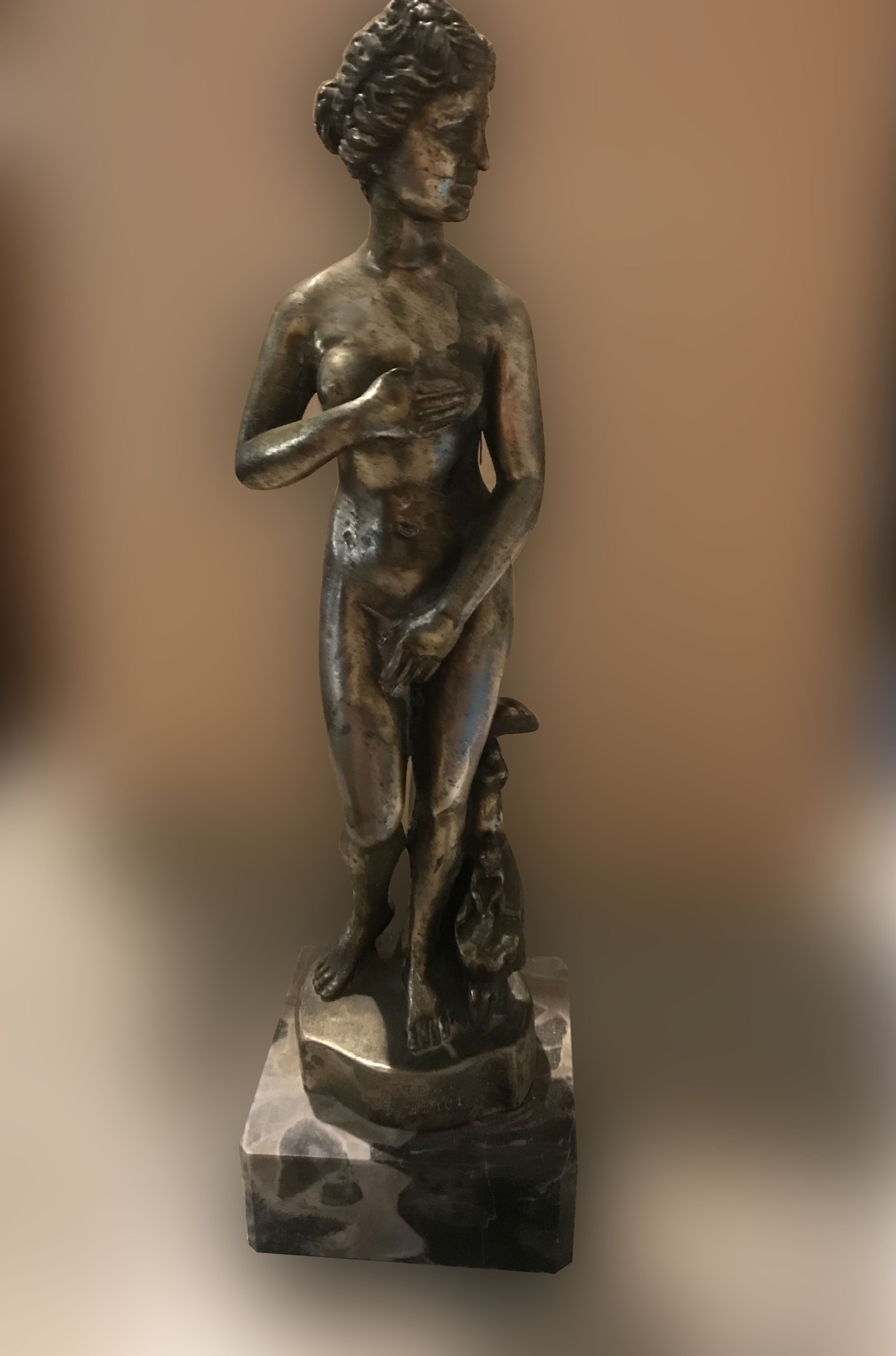 Amilcare Santini - Venere de' Medici