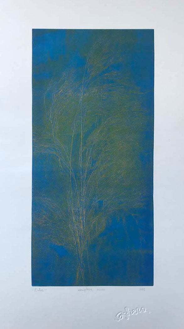 Claudio Voghera - Herbs
