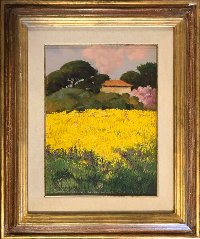 Carlo Pupi - Campo Giallo