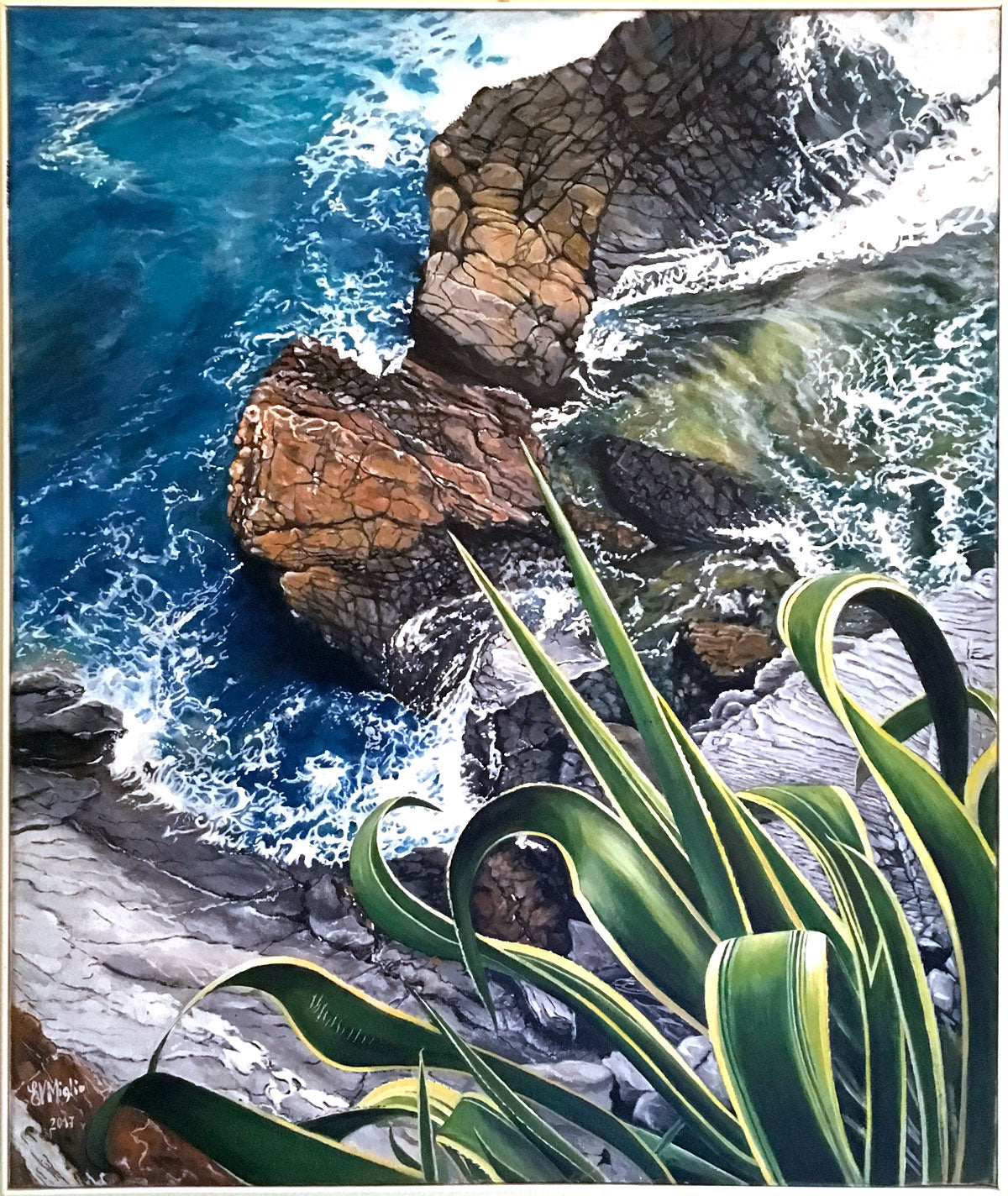 EVMiglio - Agave on the rocks