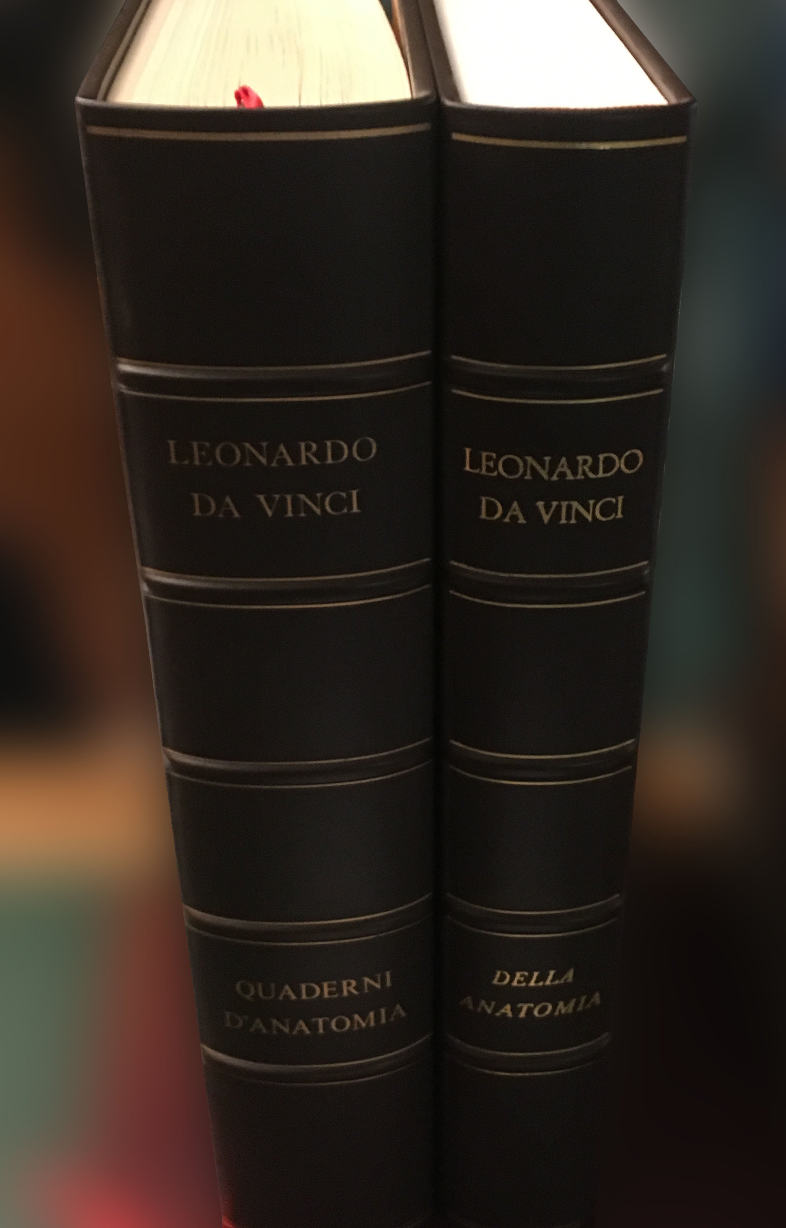 Leonardo da Vinci Anatomia - Art market