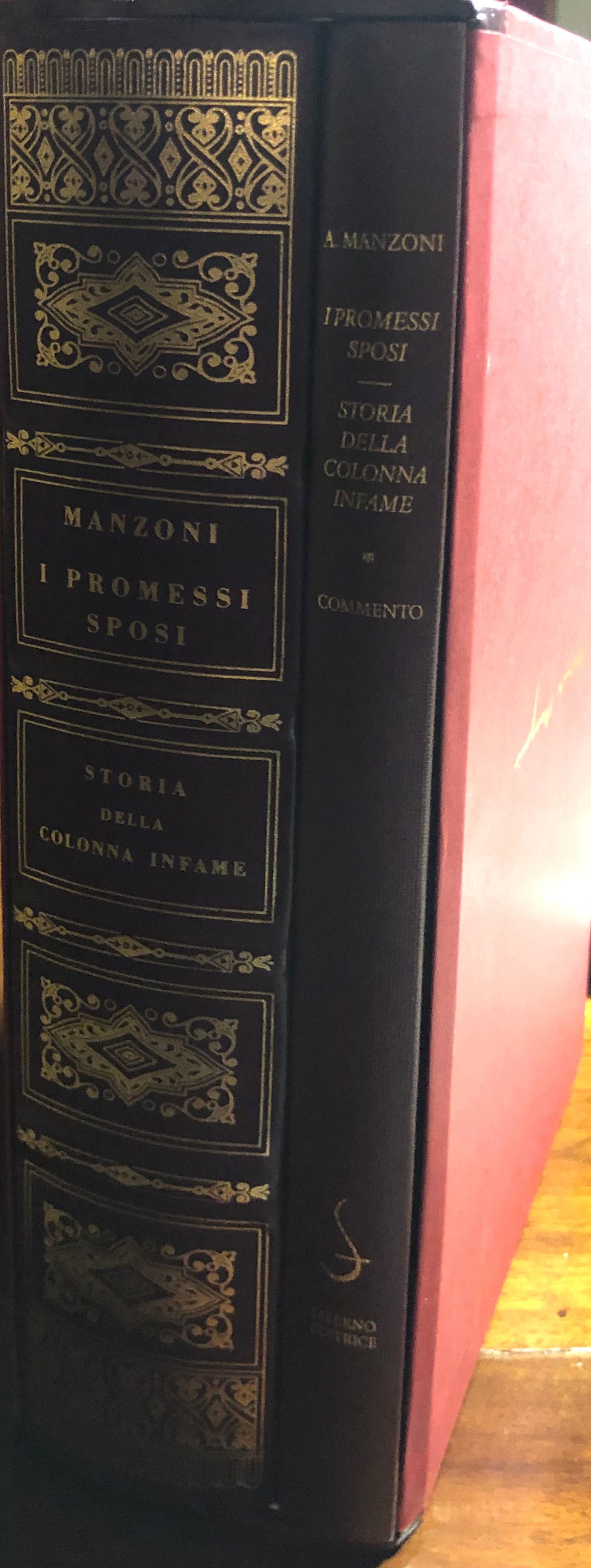 I promessi sposi, storia della colonna infame - Saterno Editrice