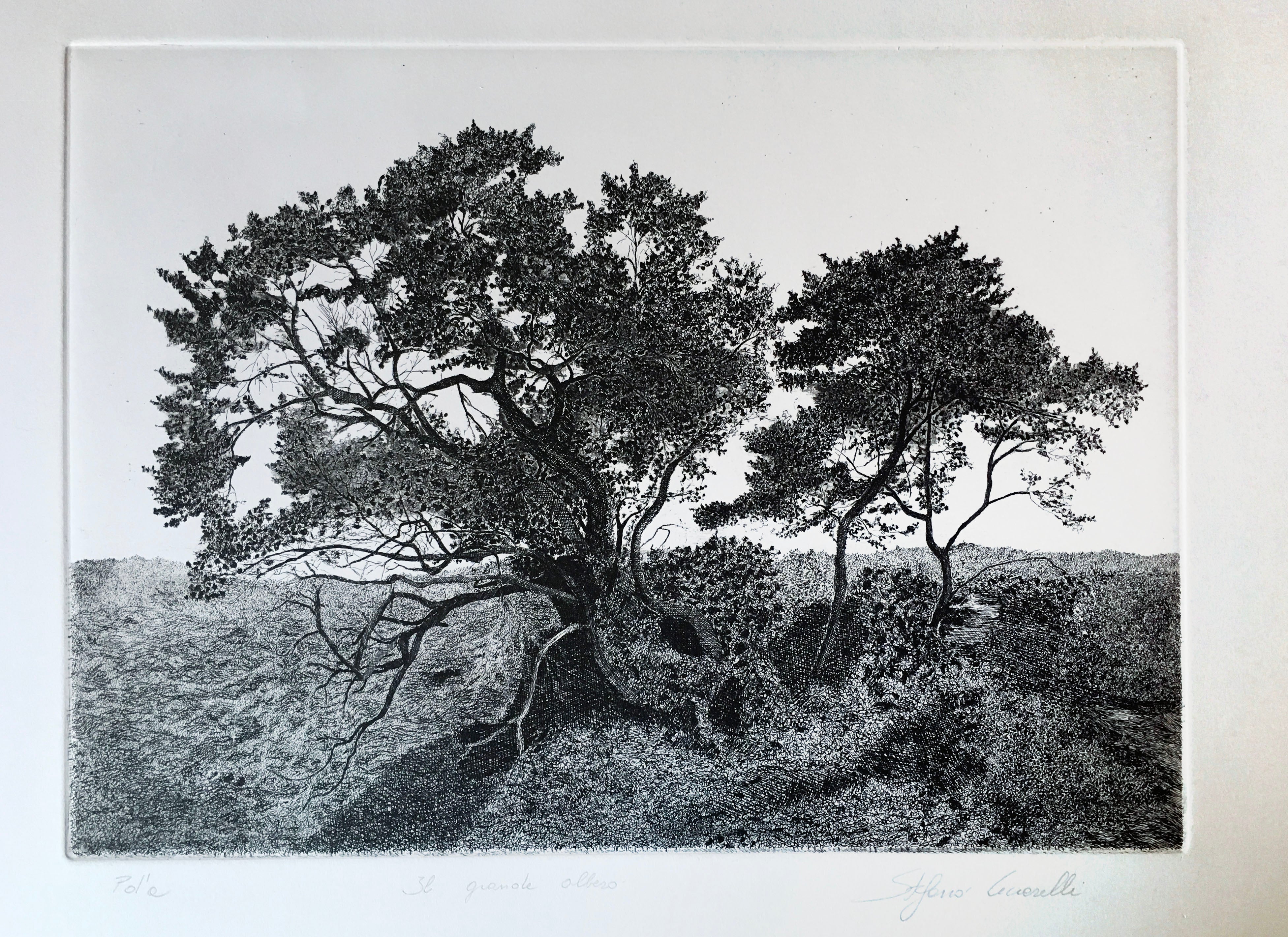 Stefano Ceccarelli - THE BIG TREE