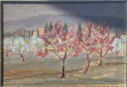 M. Marcucci - Primavera en flor