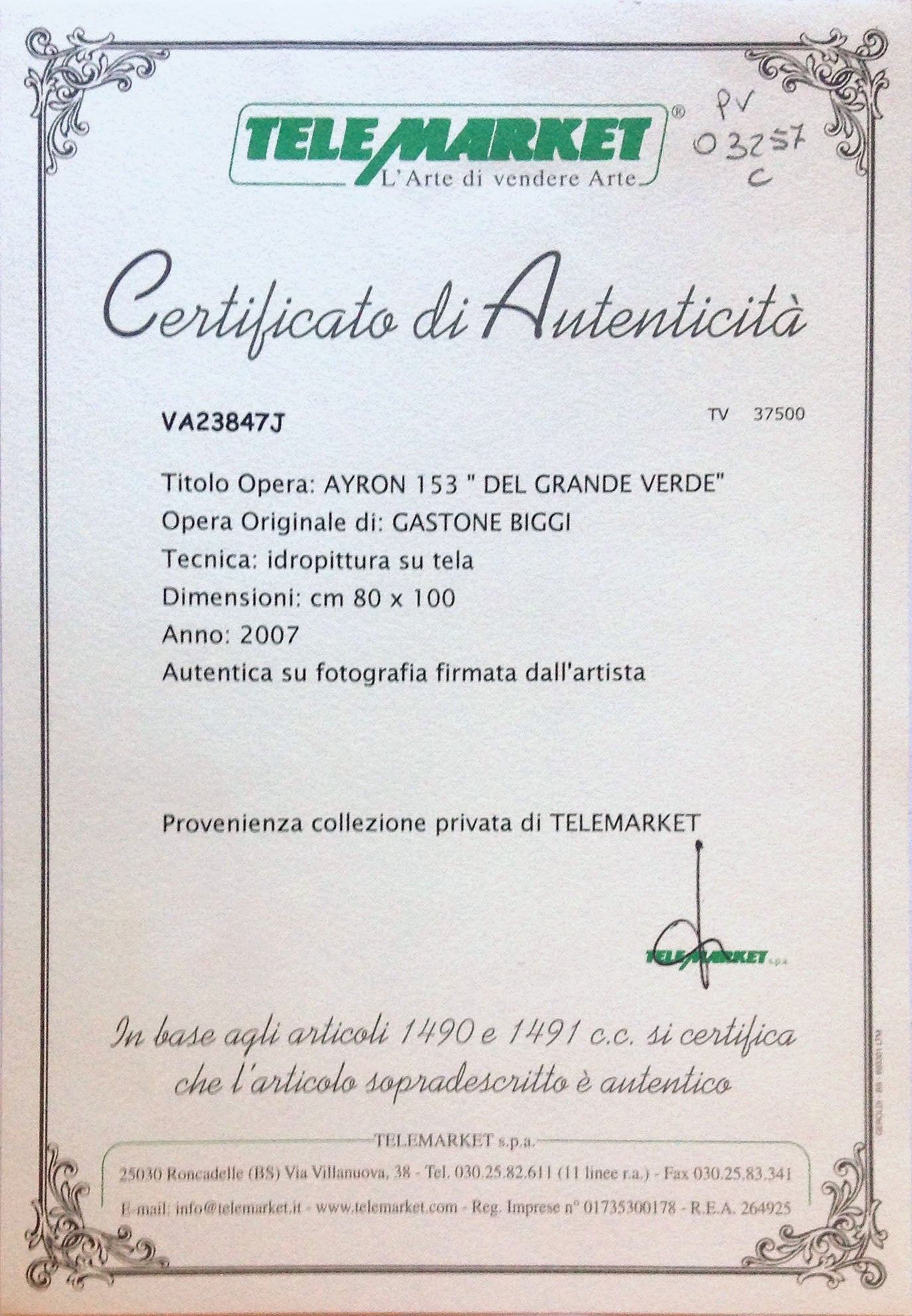 Gastone Biggi - Ayron 53 "Del grande verde"