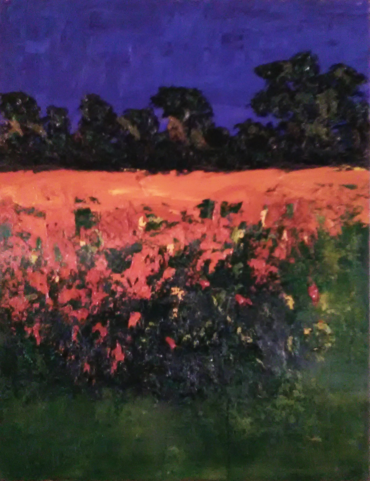 Natale  Rosselli - Paesaggio: papaveri