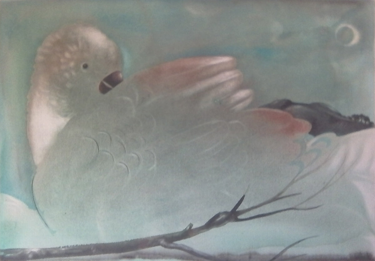 Roberto Moschini - Colomba