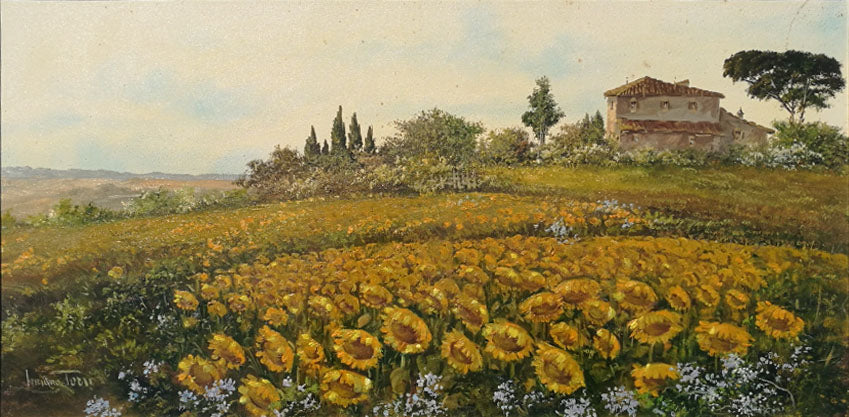 Luciano Torsi - Girasoli