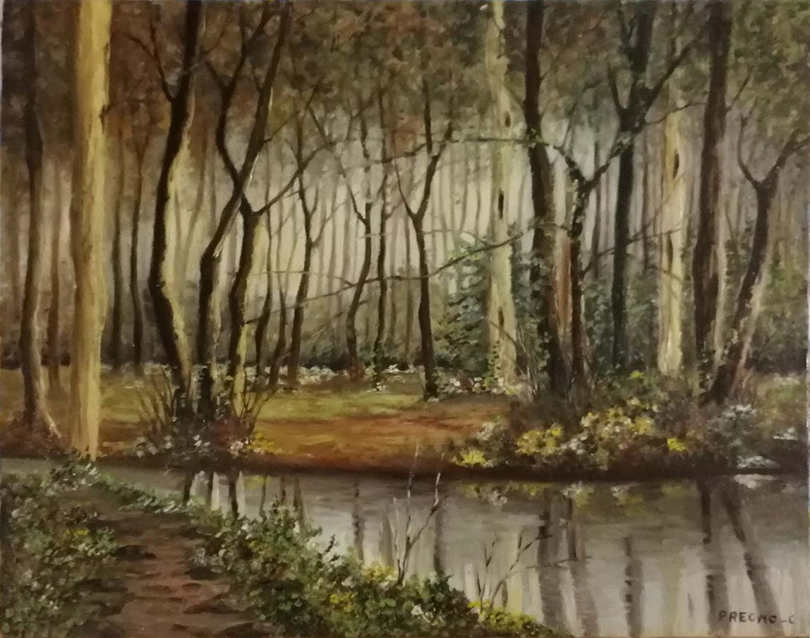 C. Pregno - Ruscello