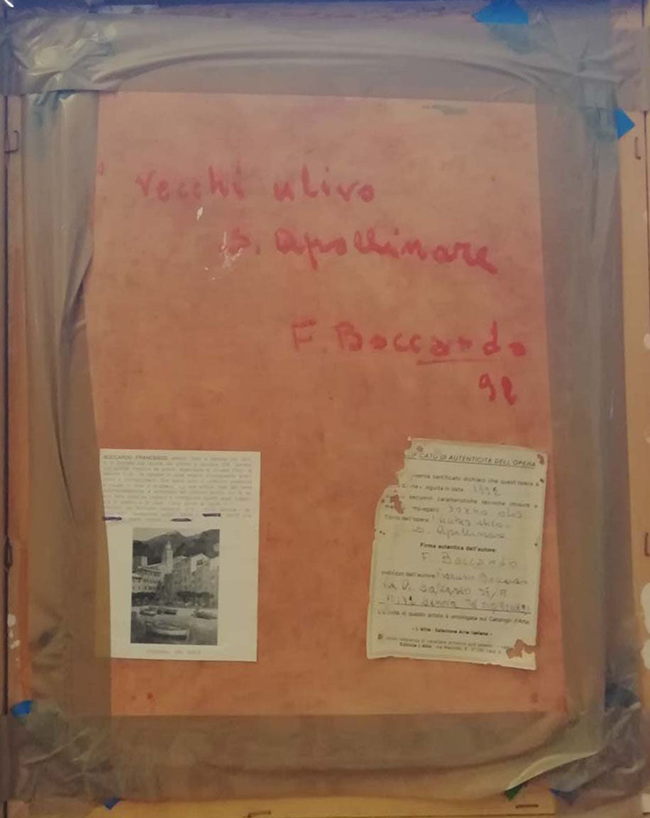 F.Boccardo - vecchio ulivo s. apollinare
