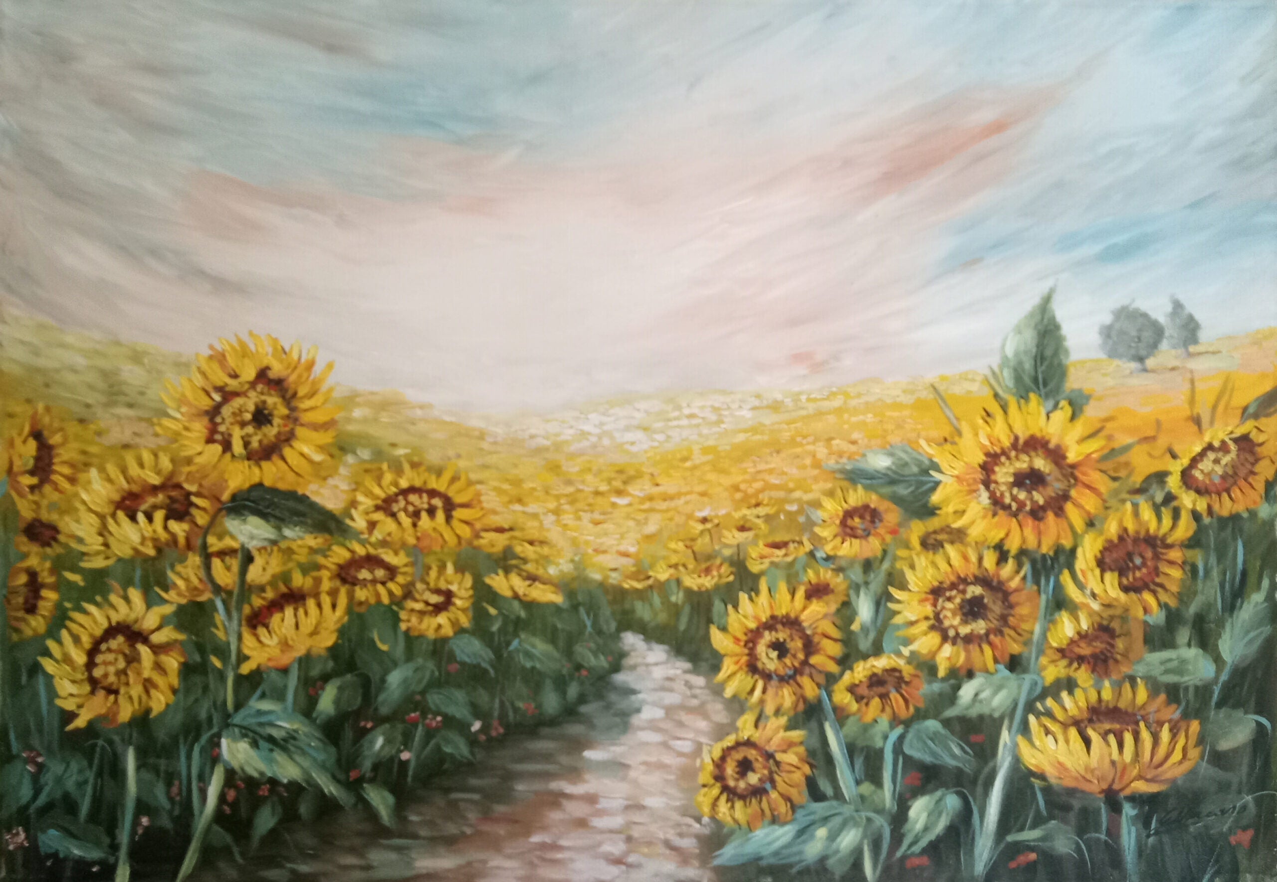 Gisella Macaro - Girasoli