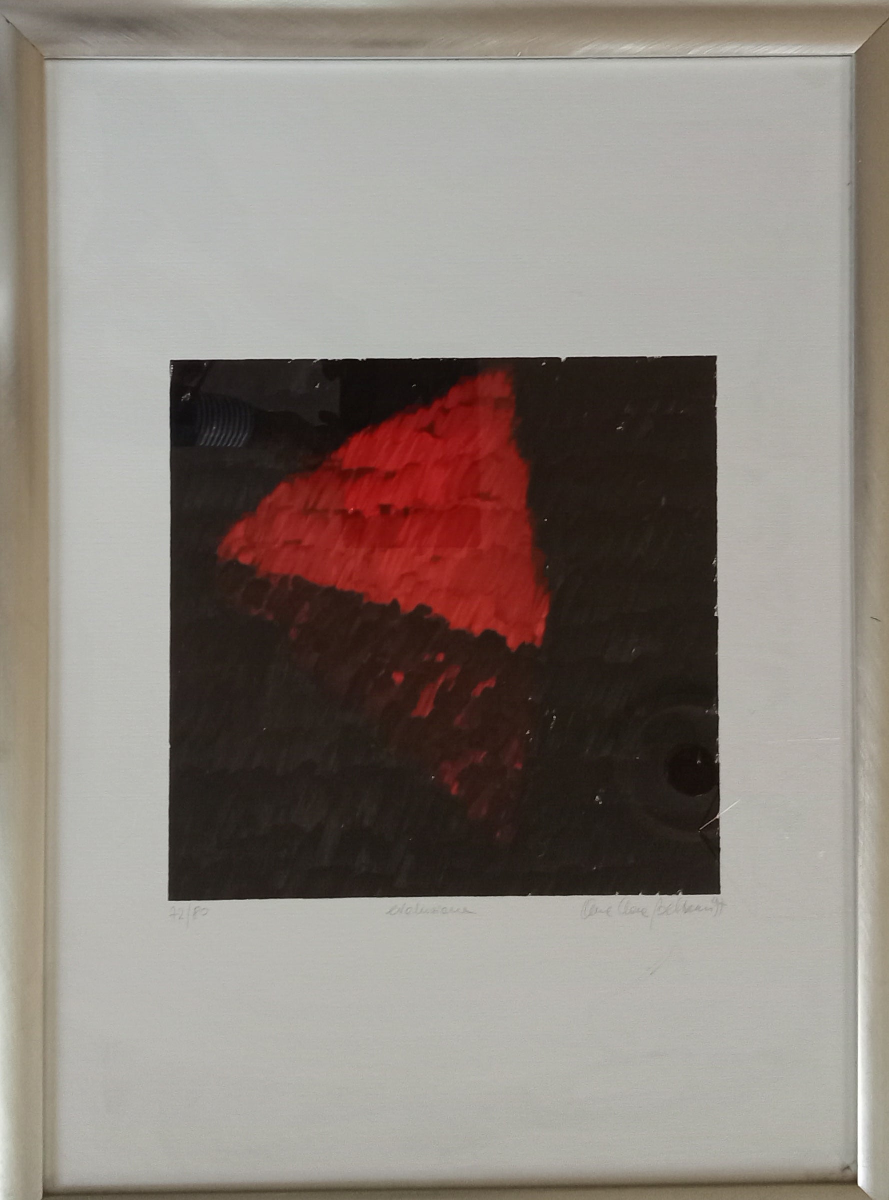 Anna Chiara Beltrami - Evoluzione