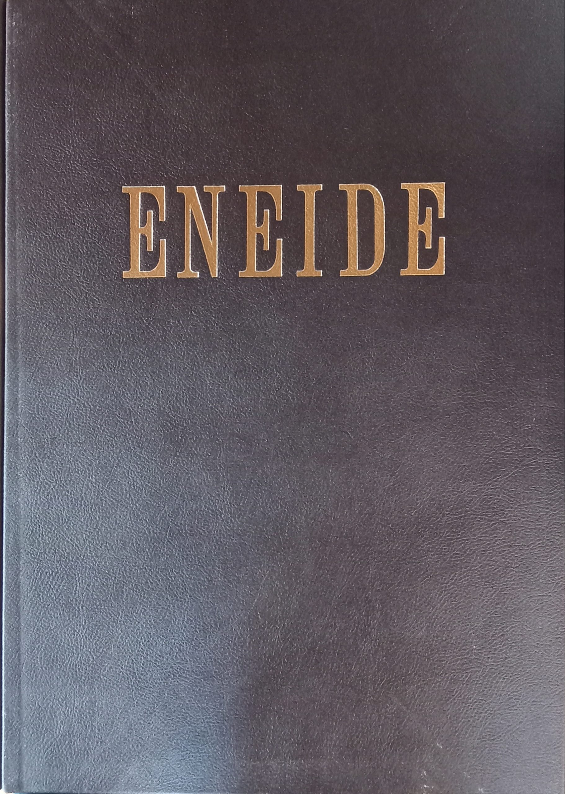 Eneide di Pericle Fazzini - Delfino Edizioni d'Arte