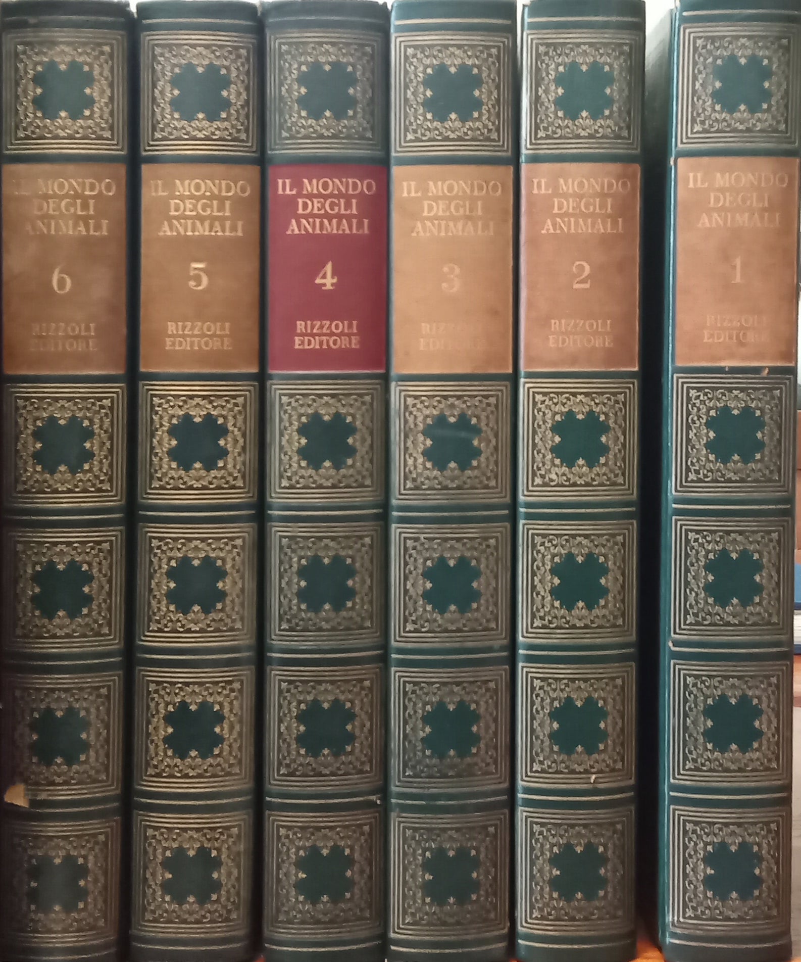 El mundo de los animales - Rizzoli (Enciclopedia de 6 volúmenes)