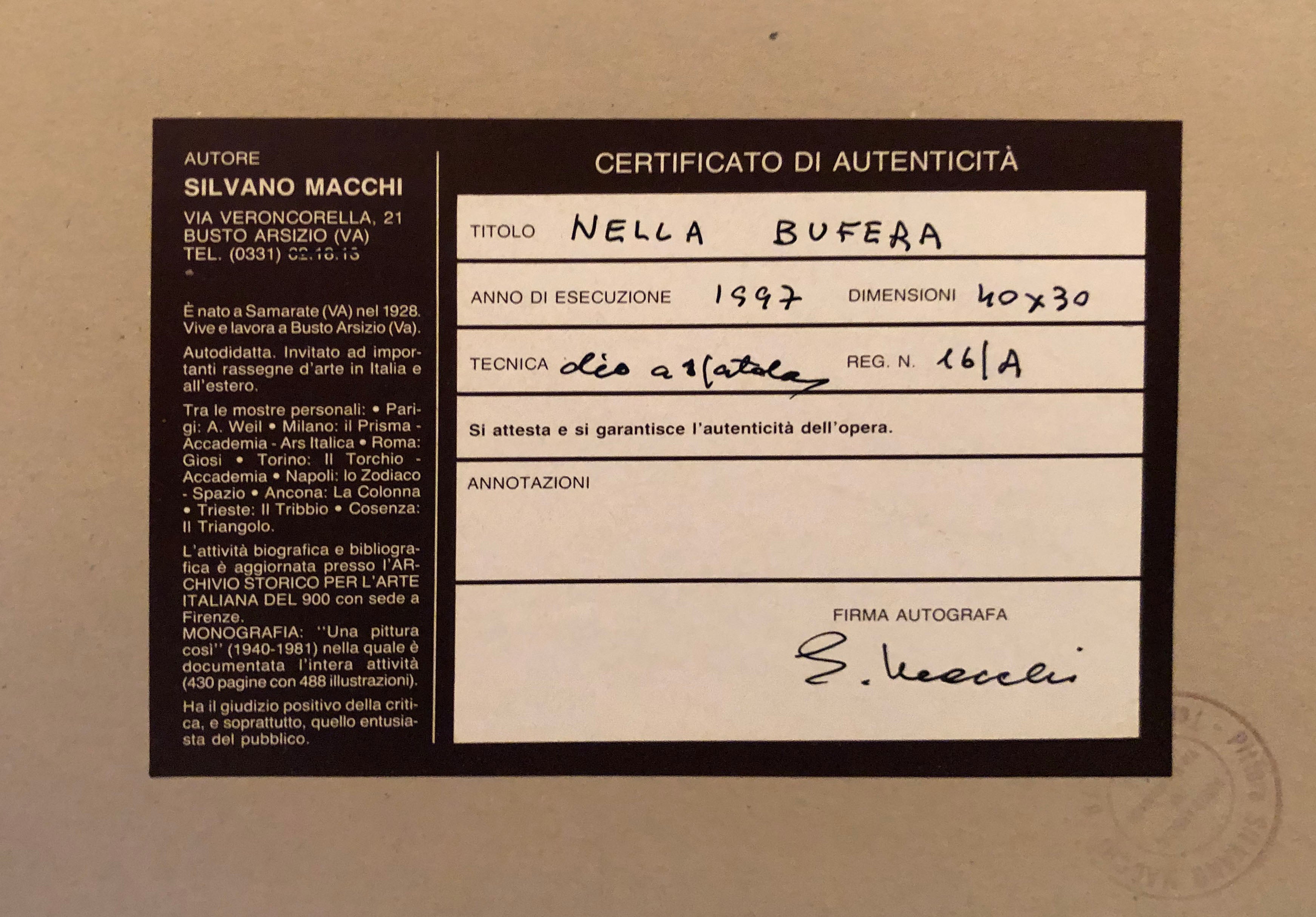Silvano Macchi - En la tormenta