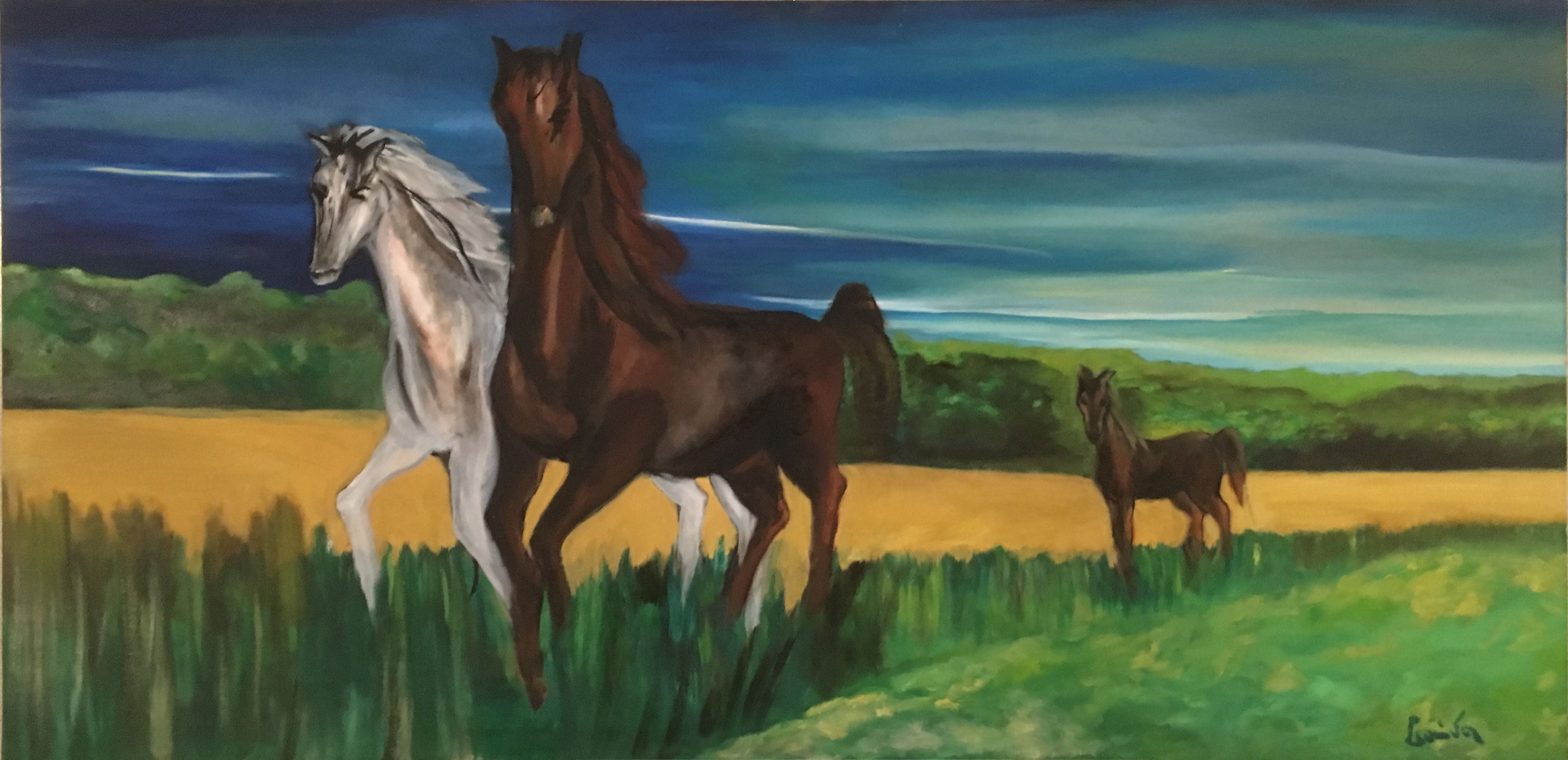 Leonida - Maremma