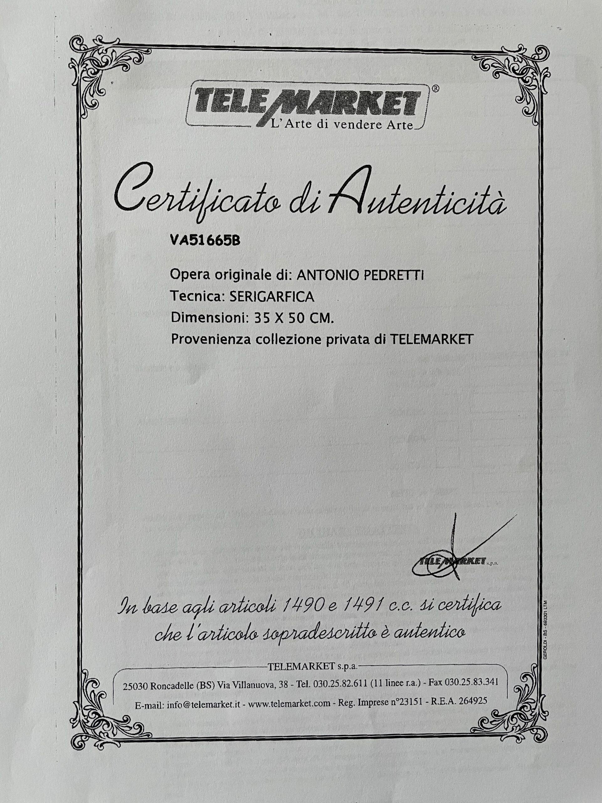 Antonio Pedretti - Senza titolo