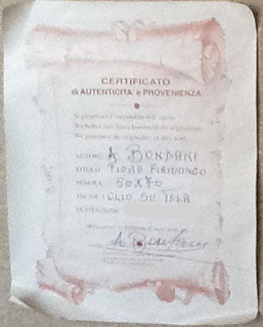 Angelo Bondani - Fiore fiammingo