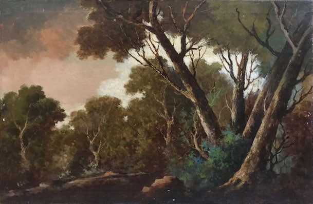 Barrels - Pine Forest