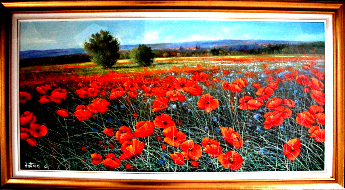 Carlo Antinori - Campo di Papaveri