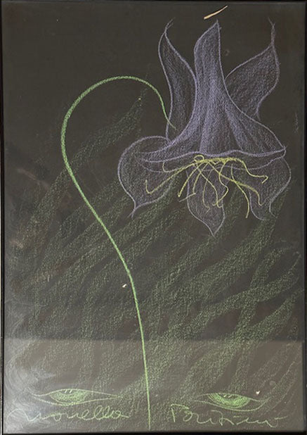 Novella Parigini - Senza titolo (fiore)