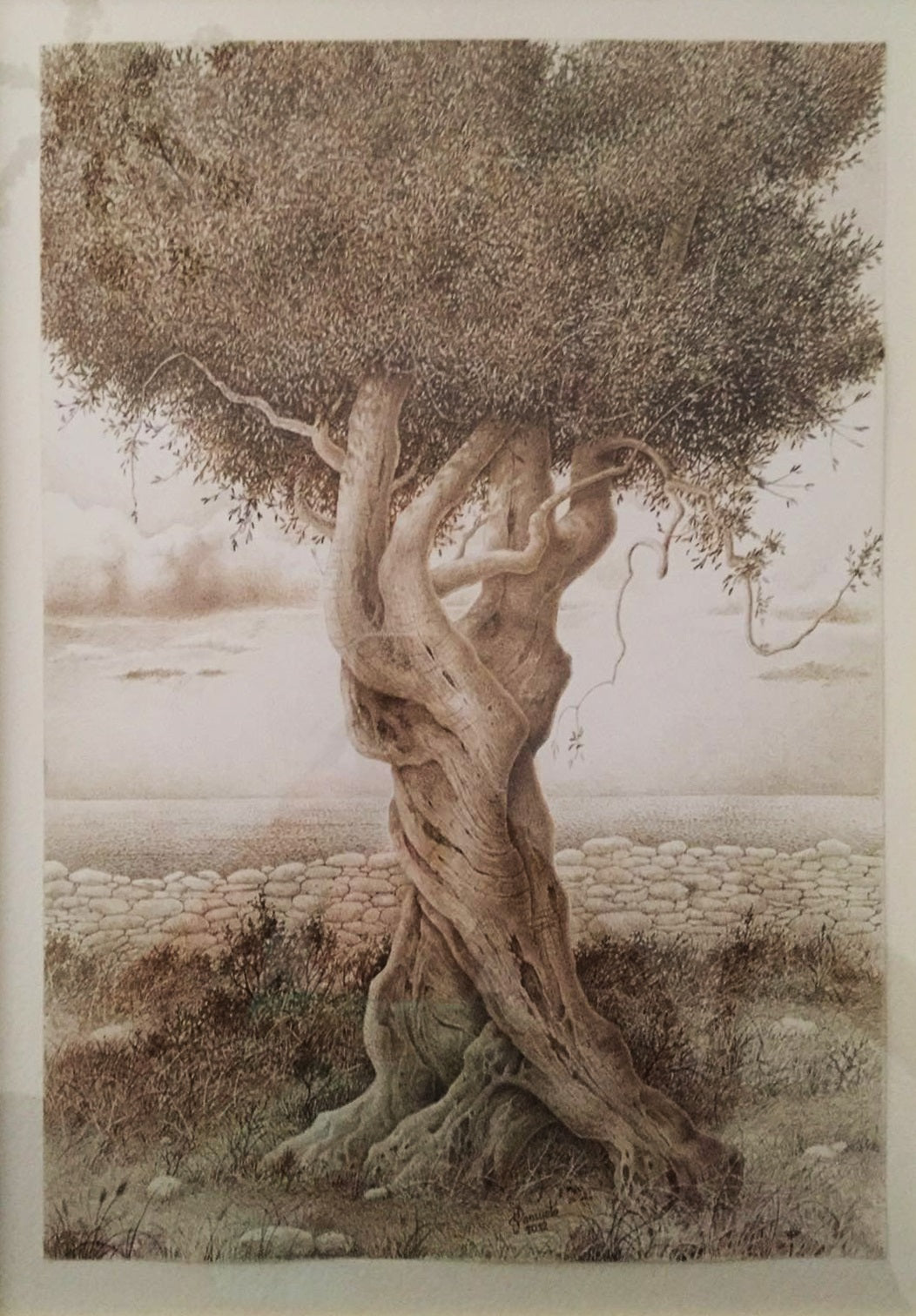 Giovanni Mansueto - Raíces