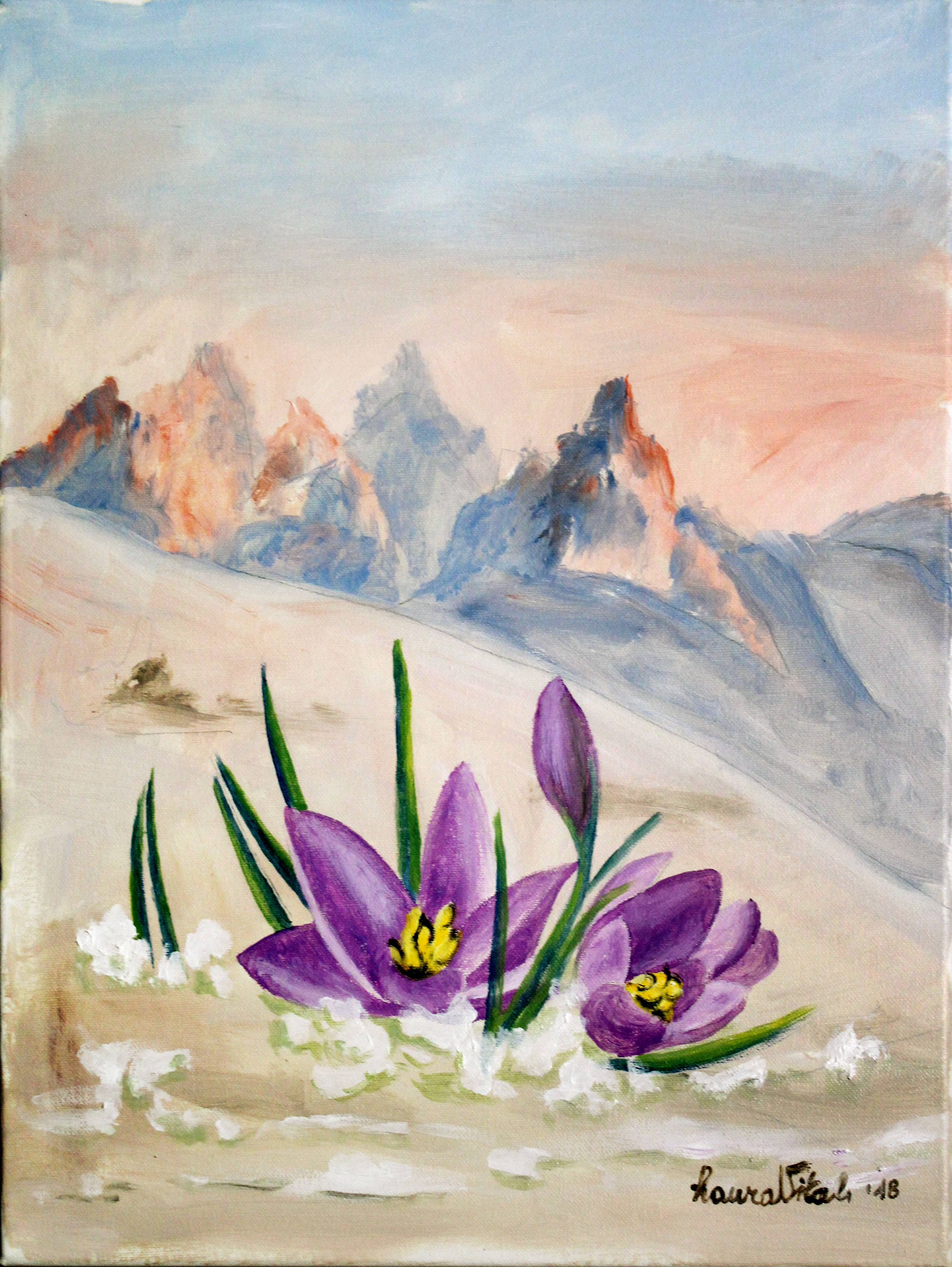 Laura Vitali - Crocus