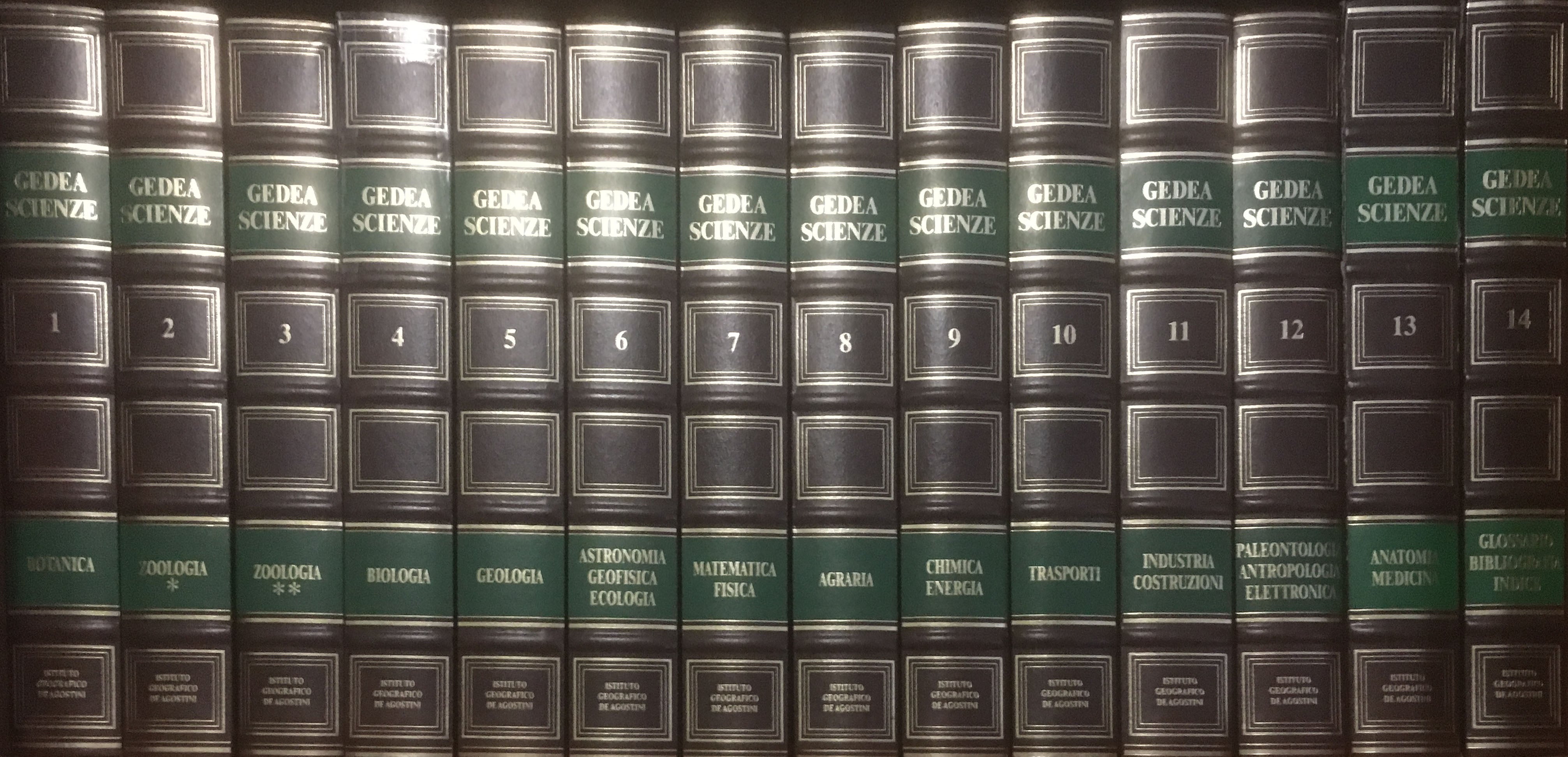 Gedea Scienze - Deagostini Editore