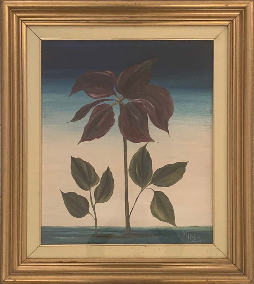Midea - Stella di Natale