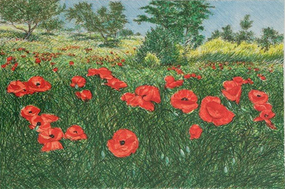 Franco Azzinari - Papaveri