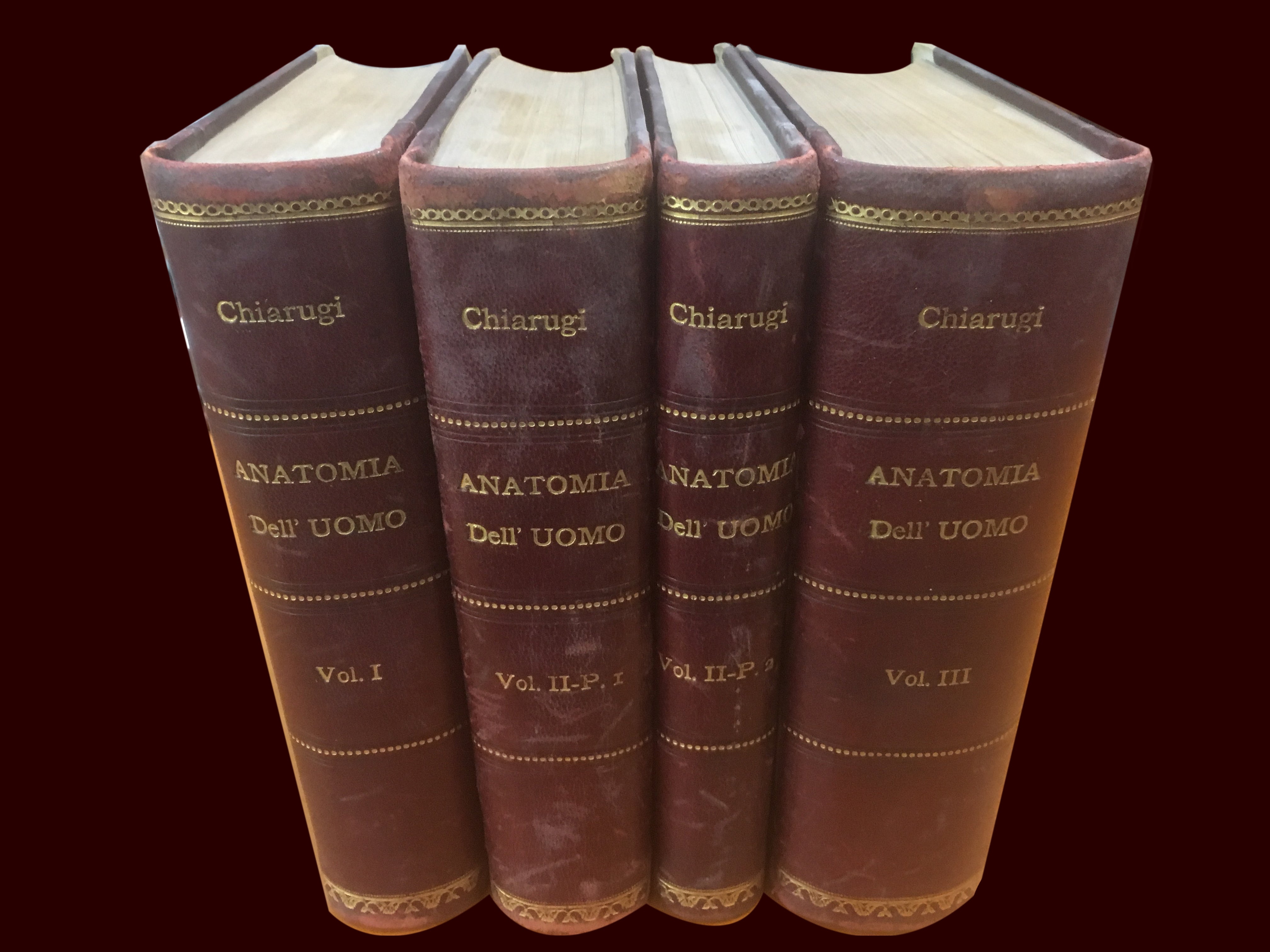 Anatomia dell'uomo - Chiarughi