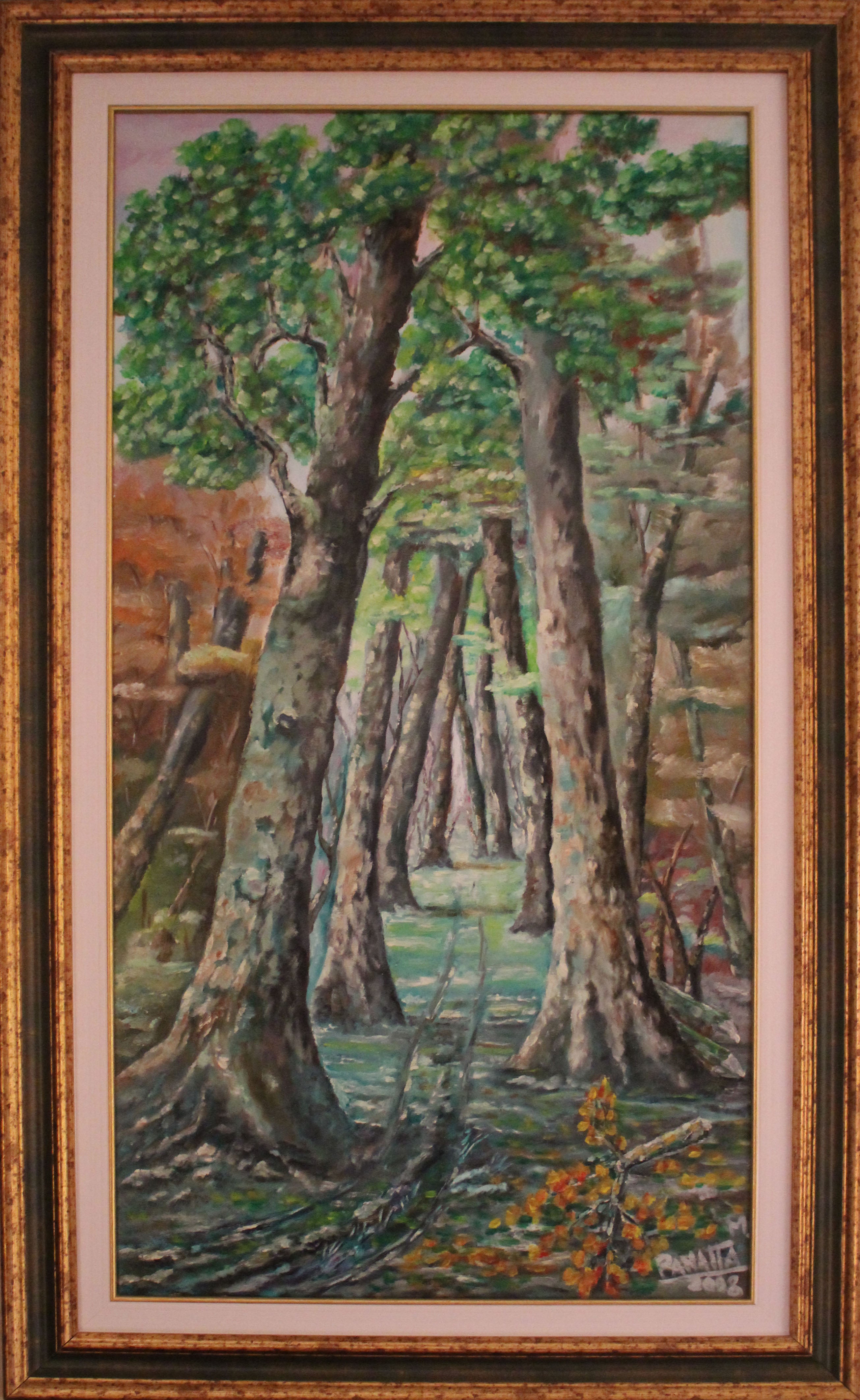 Marcello Panatta - The Forest