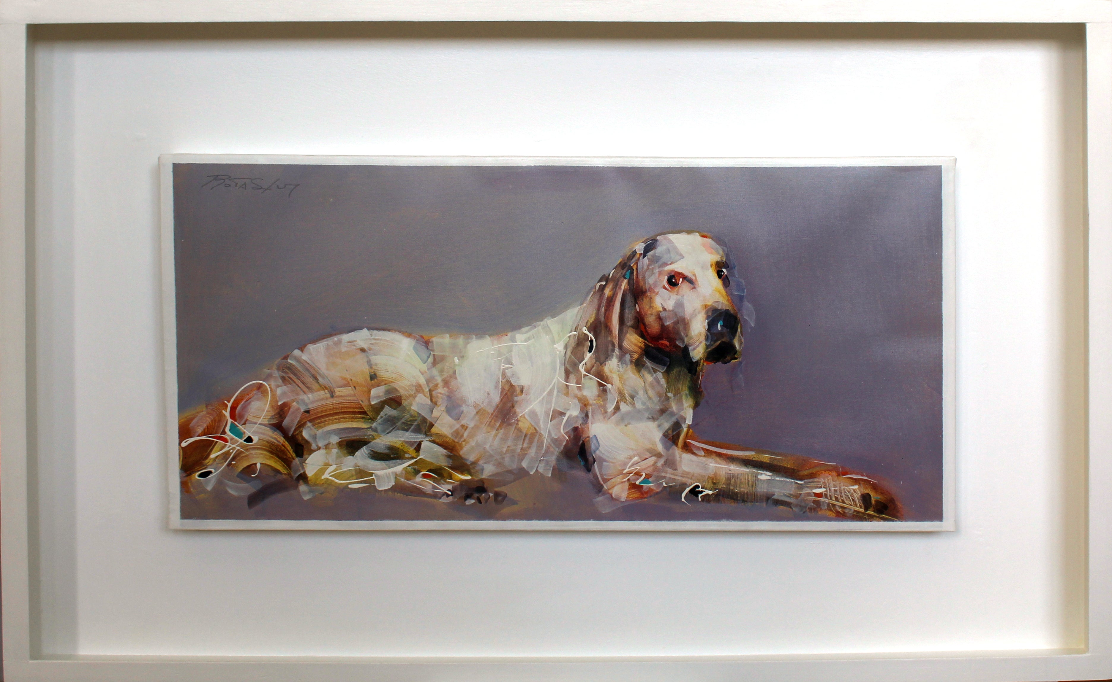 Sergio Rota Sperti - Cane