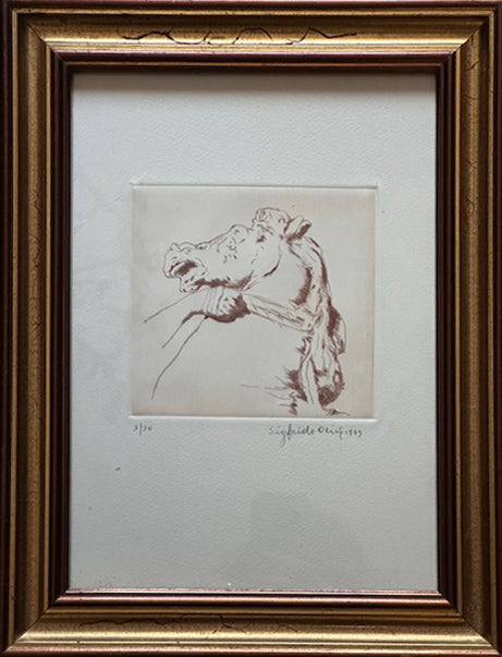 Sigfrido Oliva - Cavallo