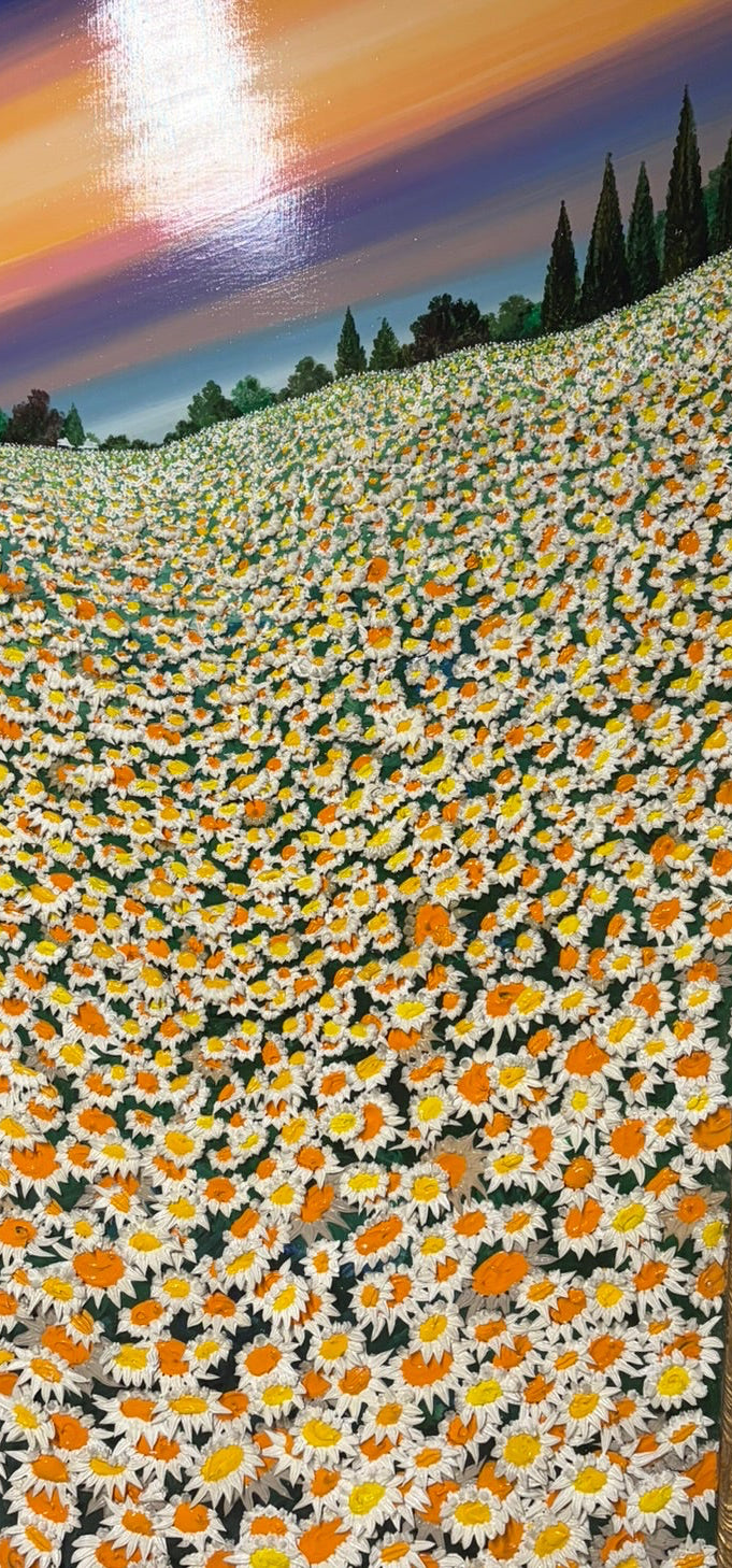 Campo di margherite di Massimo Meda, olio su tela